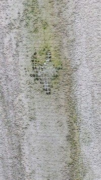 Damage done to the Ulster Bank Building when it was cleaned previously using power washers