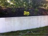 Garden wall before cleaning