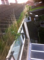 Gutter before cleaning by Pro Wash.ie