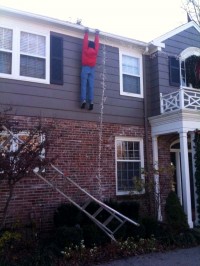 Get your roof professionally cleaned. Not only will it safe you time and produce better results,  it will avoid the danger of using ladders to access your roof. Pro Wash.ie are fully health & safety compliant